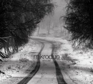 WIP-Singular-V2-336x302